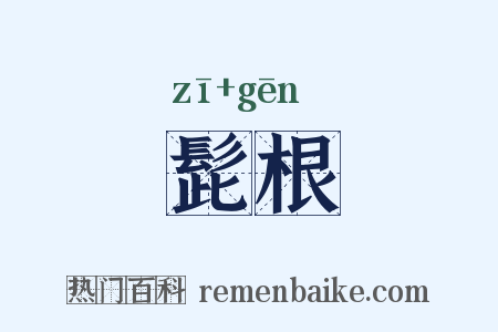 髭根是什么意思的图片